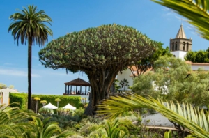 CLASES DE BAILE PRIVADAS EN ICOD DE LOS VINOS Icod de los Vinos es el Pueblo Magico del Ano en 2023. Foto Turismo Islas Canarias 300x198 - CLASES DE BAILE PRIVADAS EN ICOD DE LOS VINOS